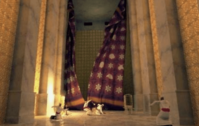 A room with two curtains and a dog